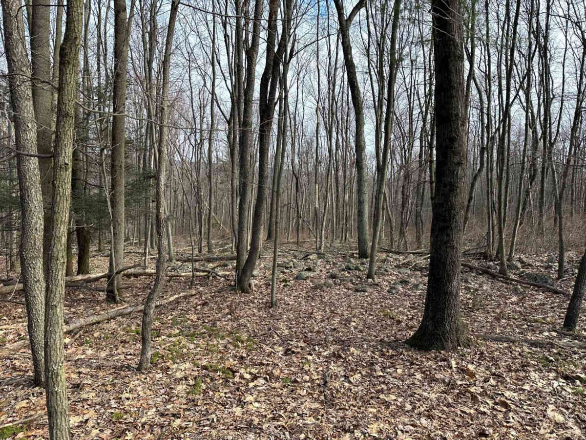 Tower City Single Track 3- A photo 3