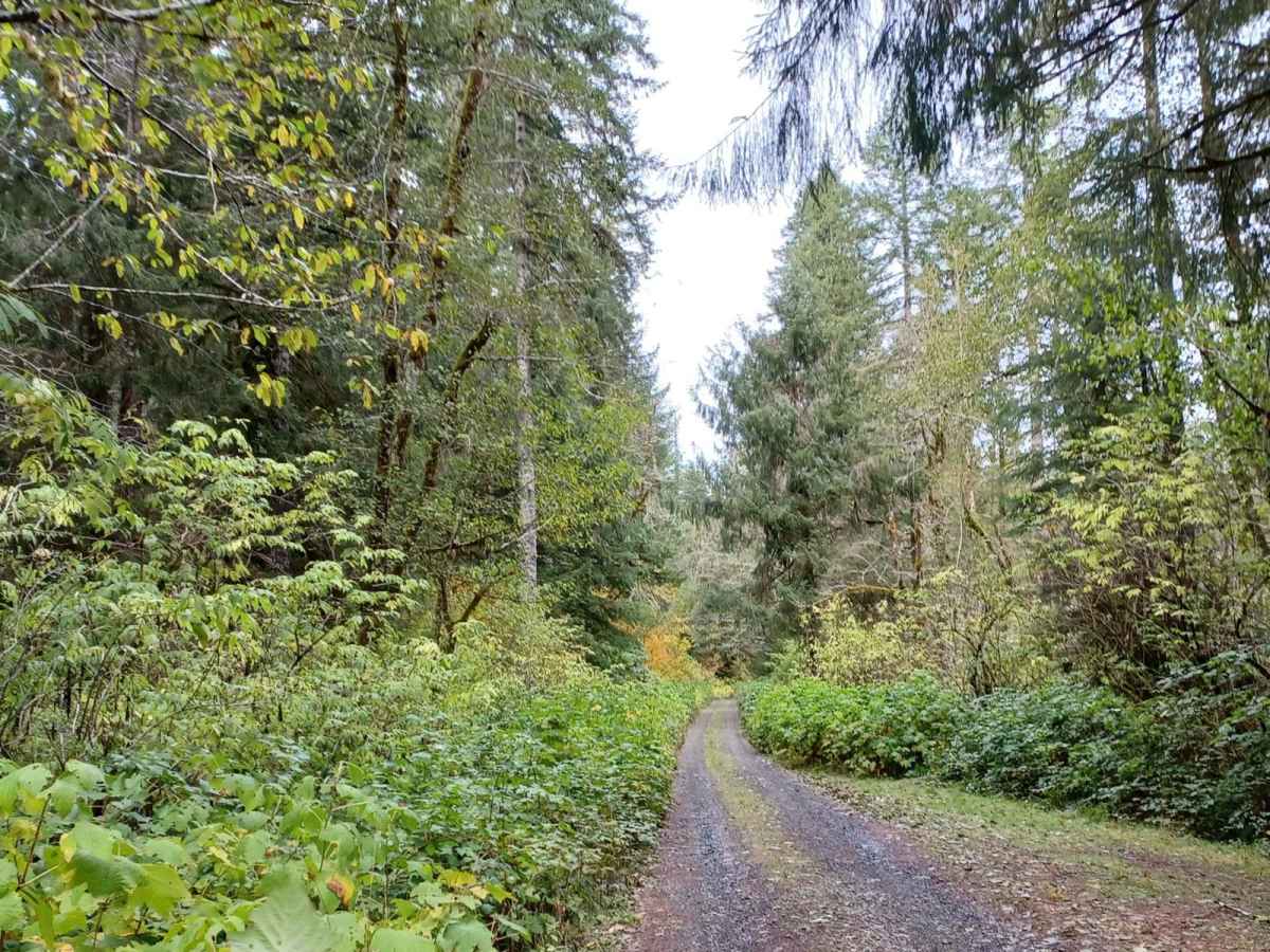 Gauldy trail photo