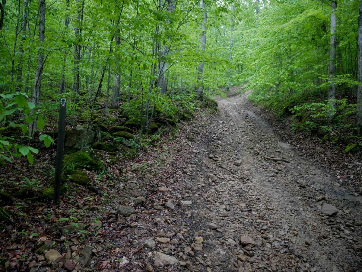 IB 38 trail photo