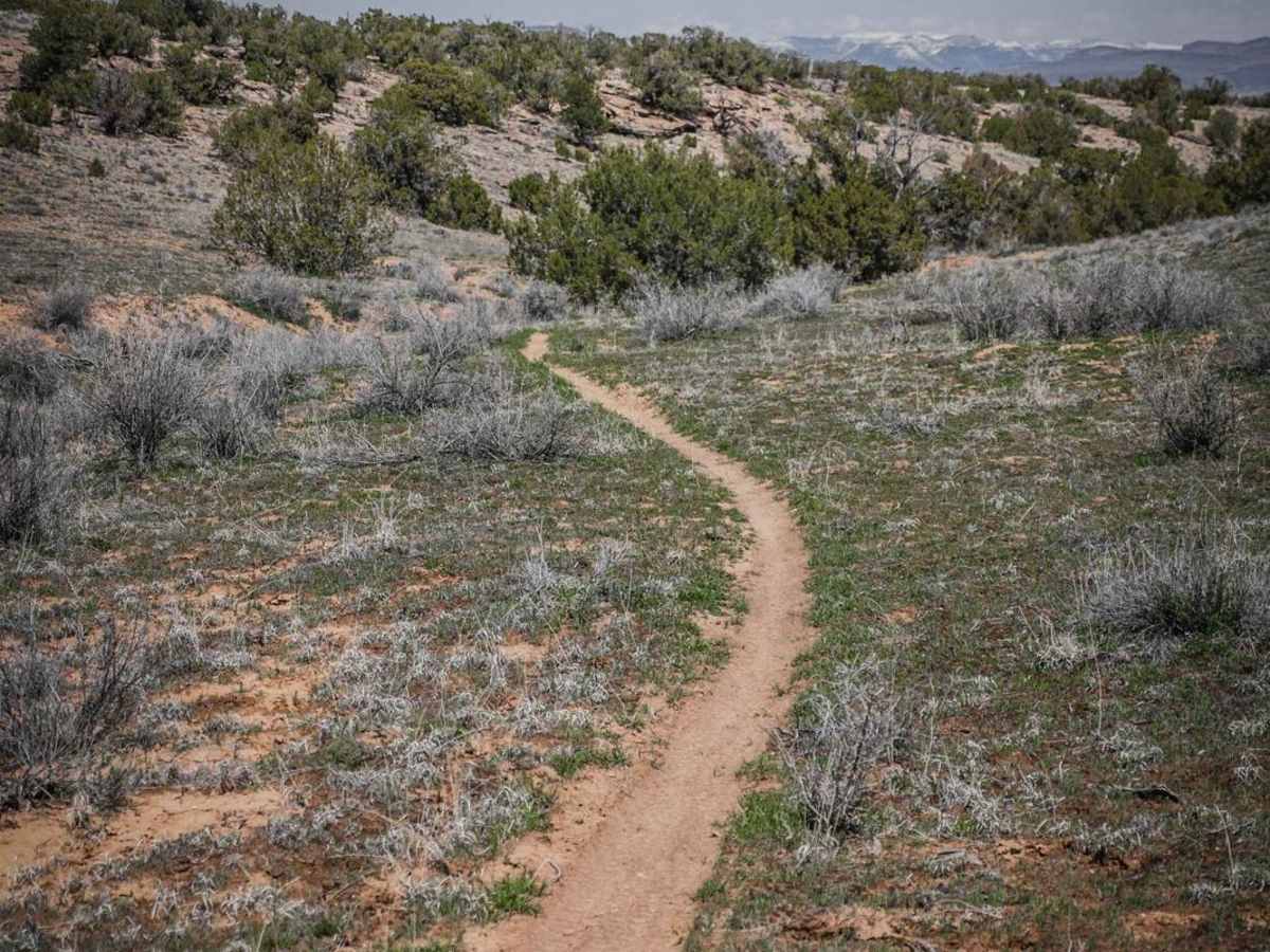 BLM Route 85 photo 2
