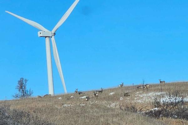 Oliver III Wind Farm