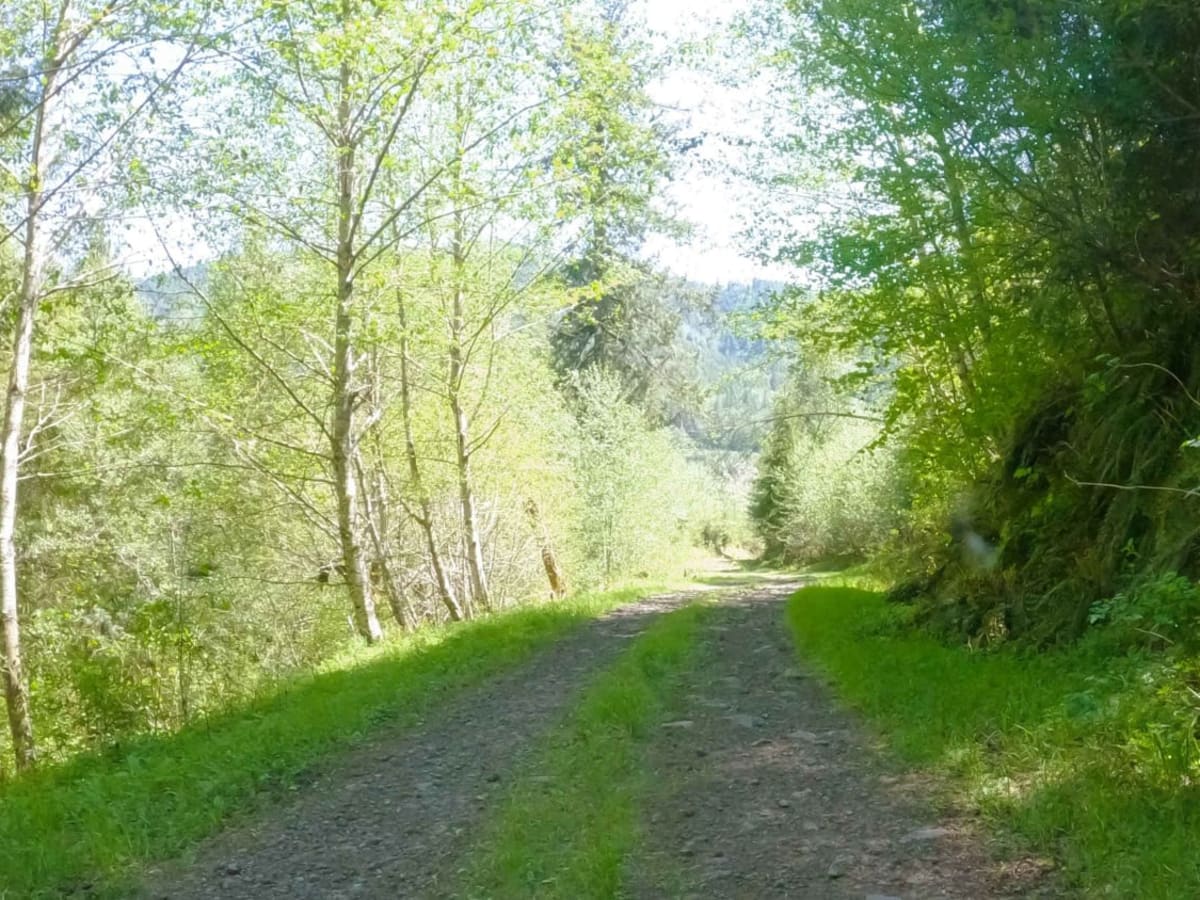 ZigZag Road - South photo 5