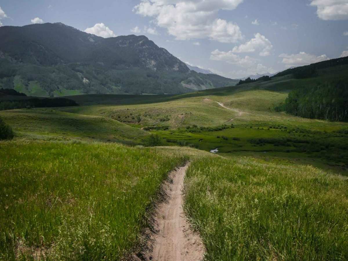 Farris Creek Bypass trail photo
