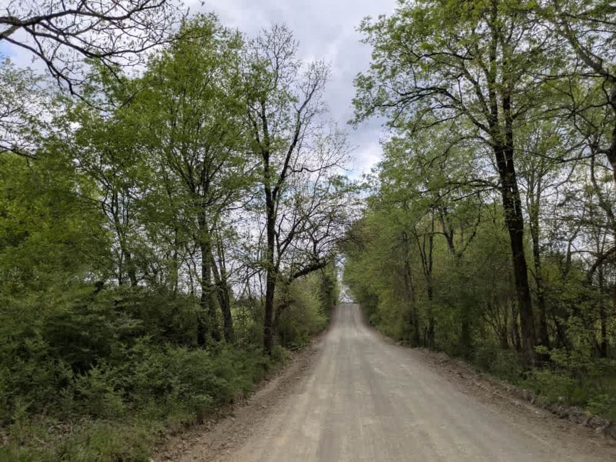 Clearwater Road photo 3