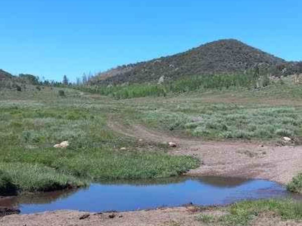 Caddy Creek/Little Valley trail photo