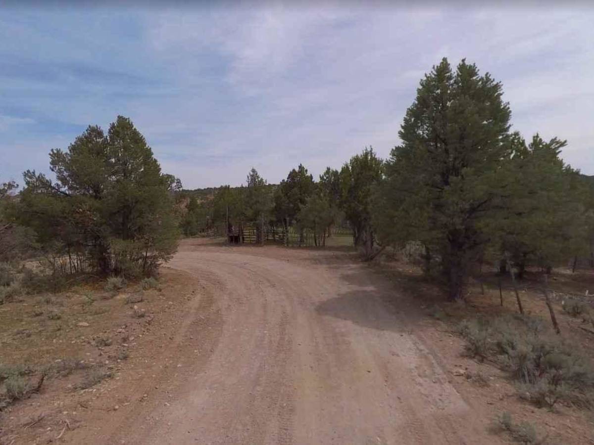 Pine Park Road-White Rock Road-FR30004 photo 3
