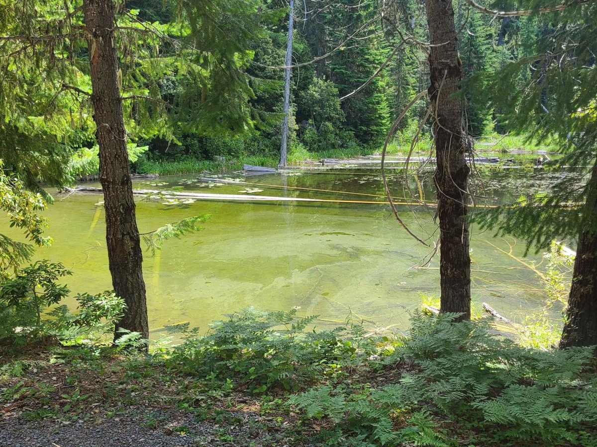 Youngs Creek #2129 photo 3