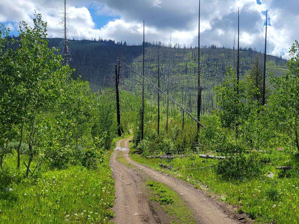 Skull and Crossbones Road trail photo