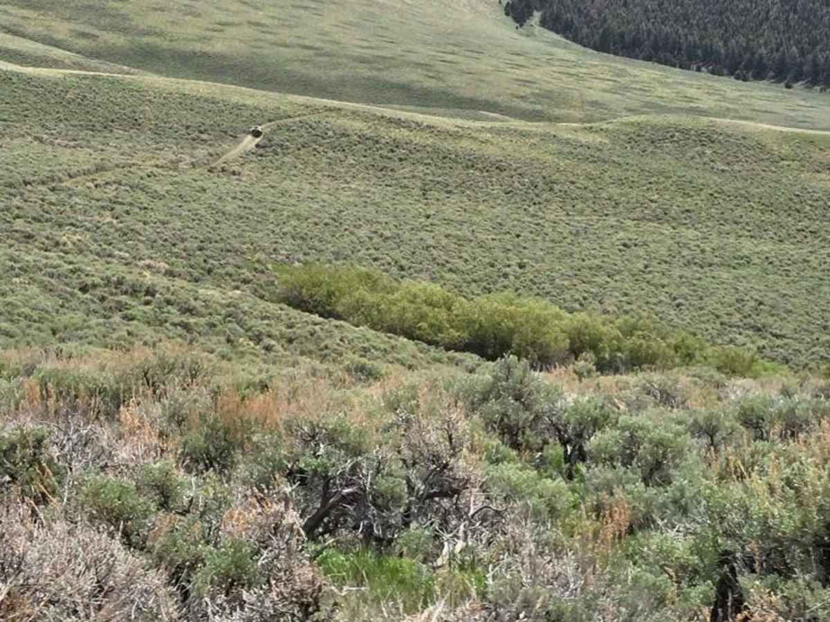 Horse Basin to Dry Gulch photo 3