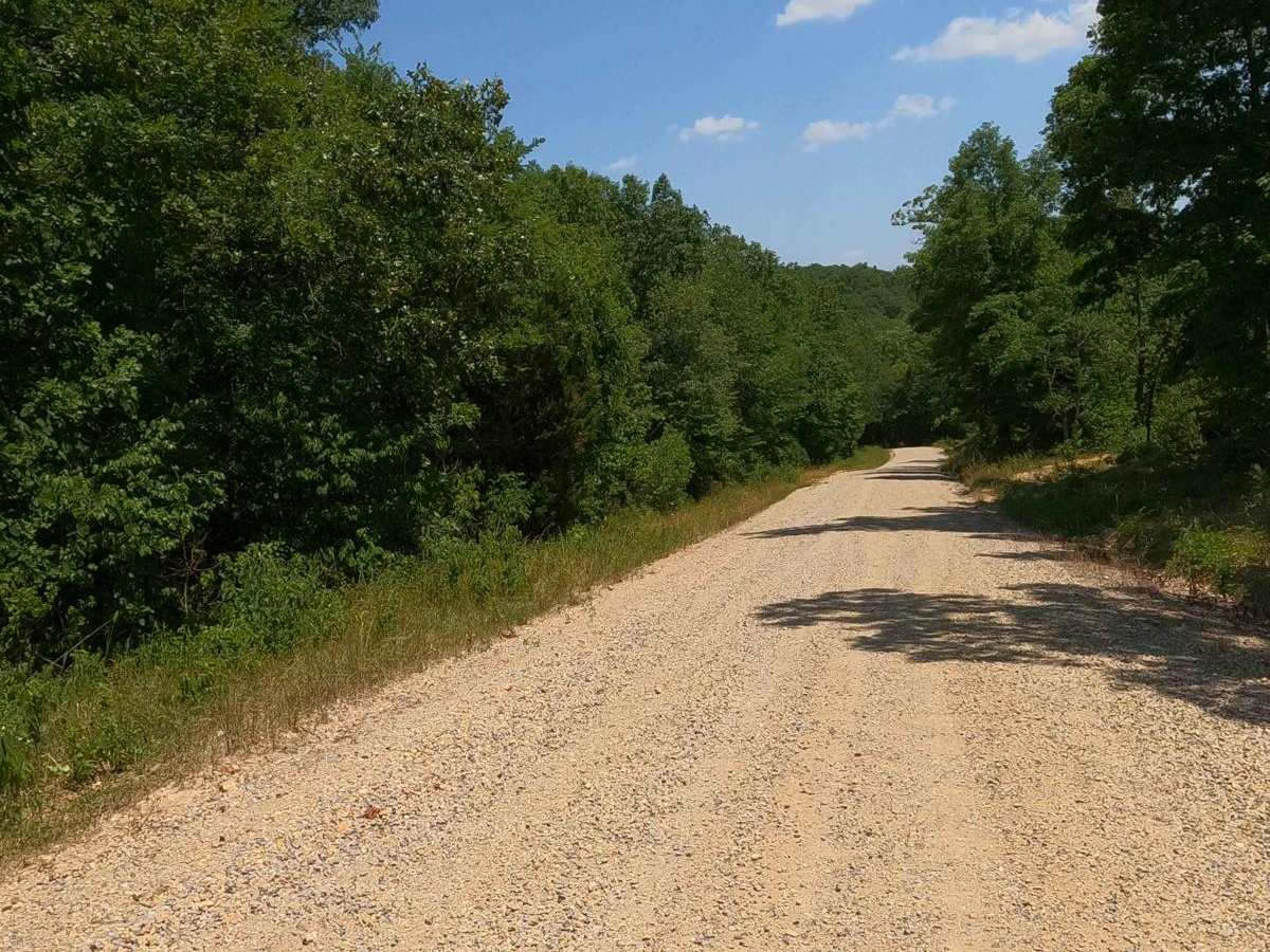 Castor River CA Camp Road photo 4