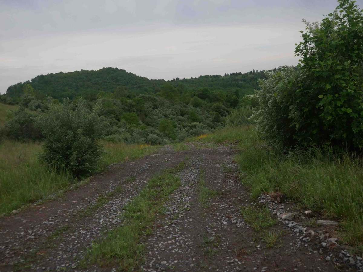 CC42 photo 2