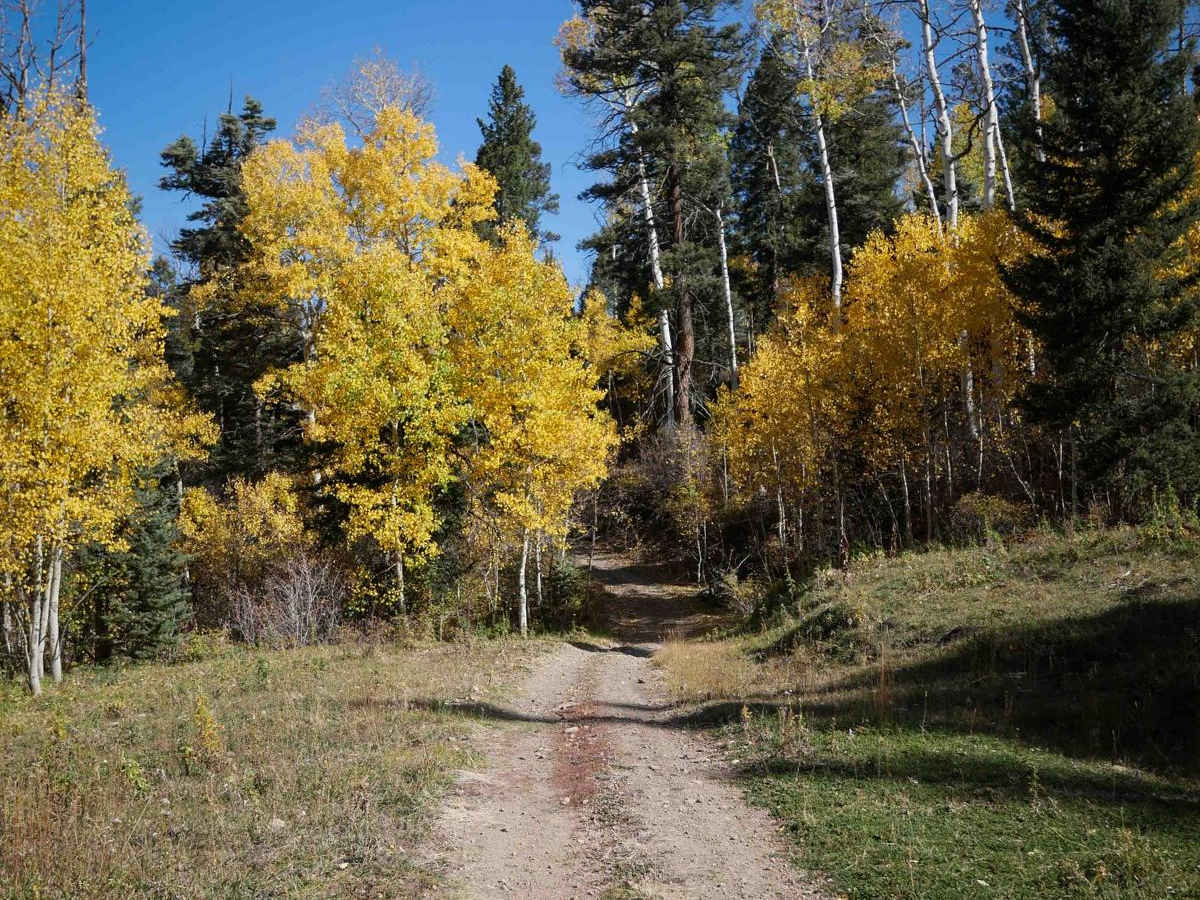 Monument Mountain - 590 photo 6