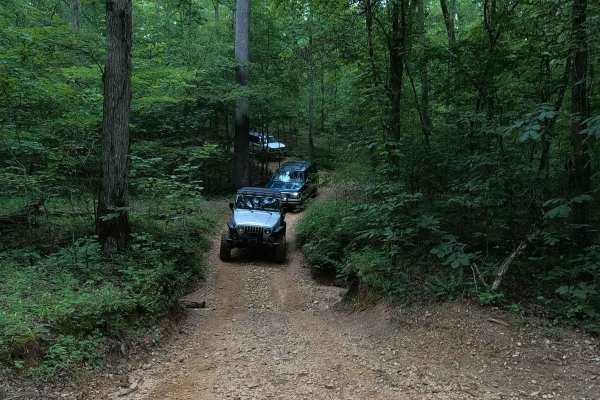 Mushroom Trail - 5 to C Shortcut