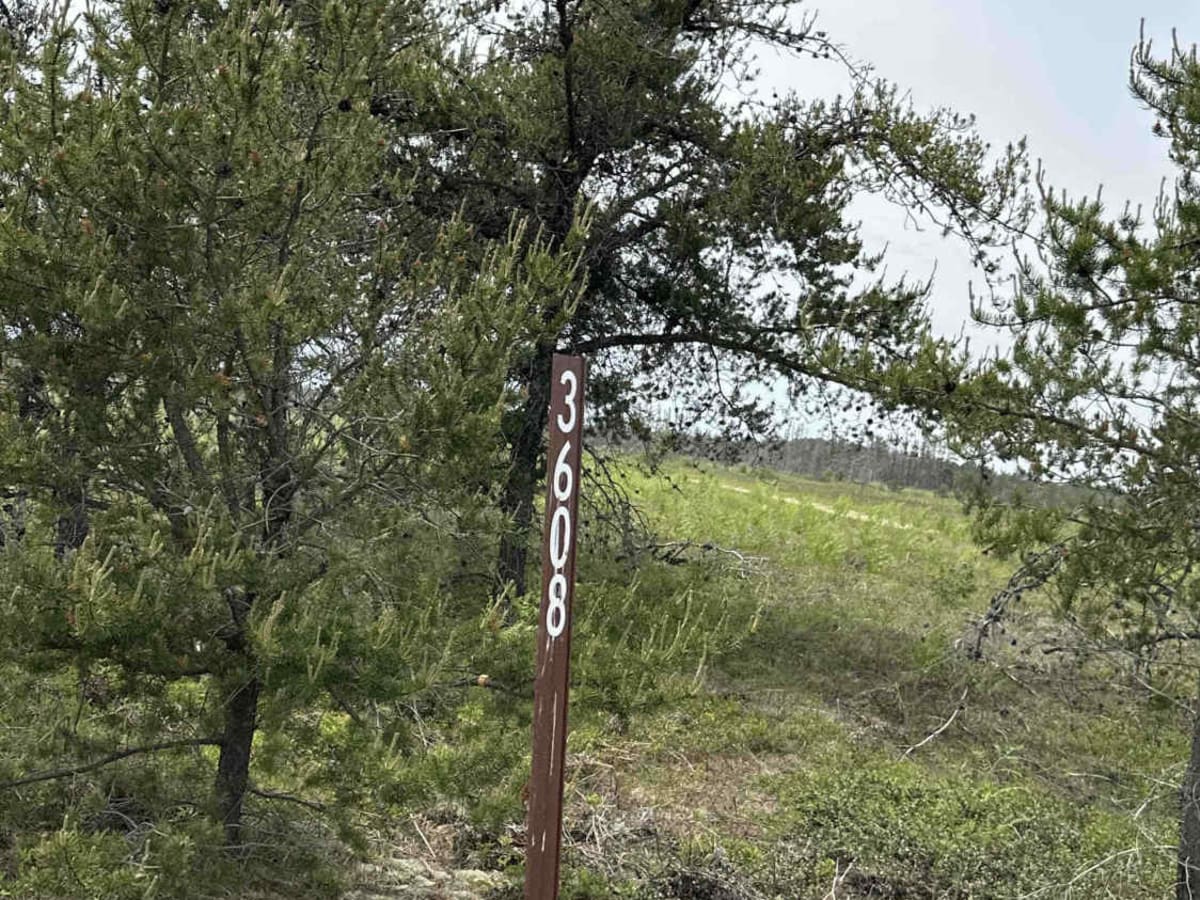 FS 3608 trail photo