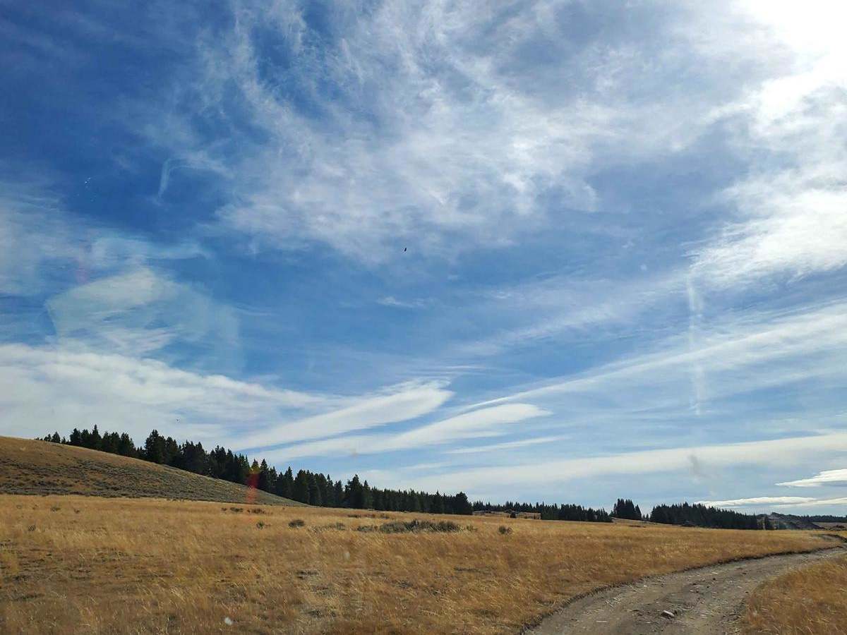 Web Creek Loop photo 6