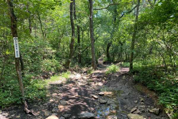 Creek Run