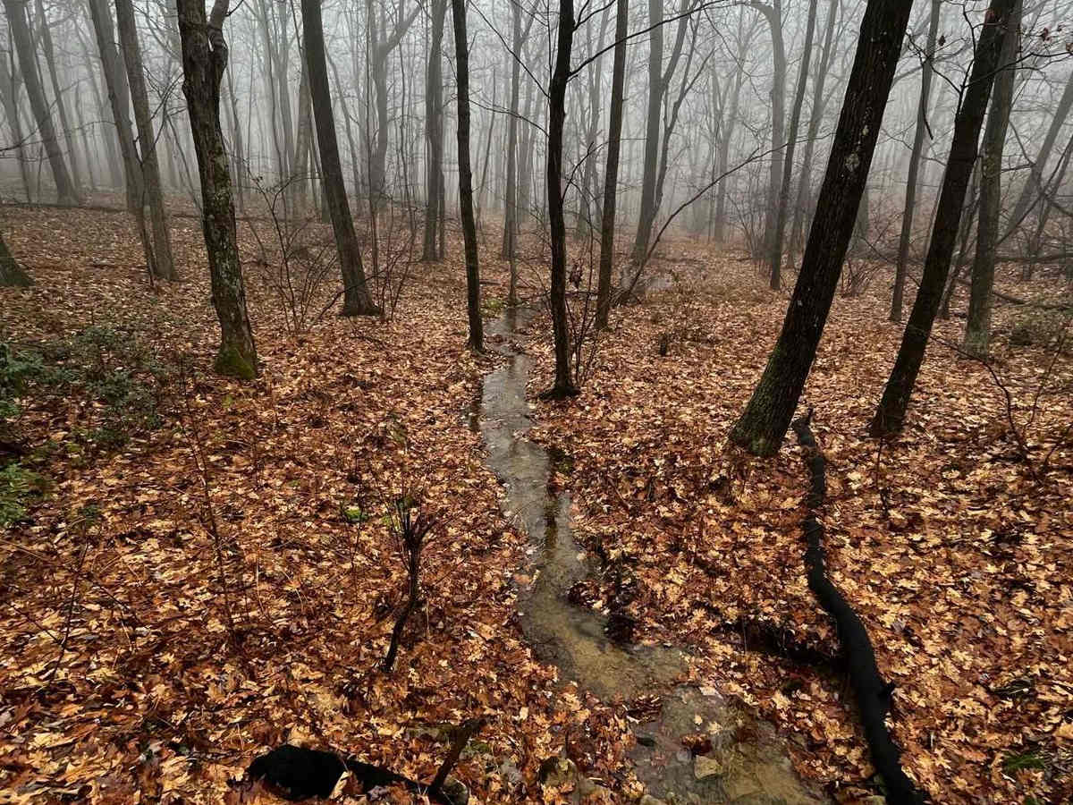 Sandy Ridge Trail photo 6