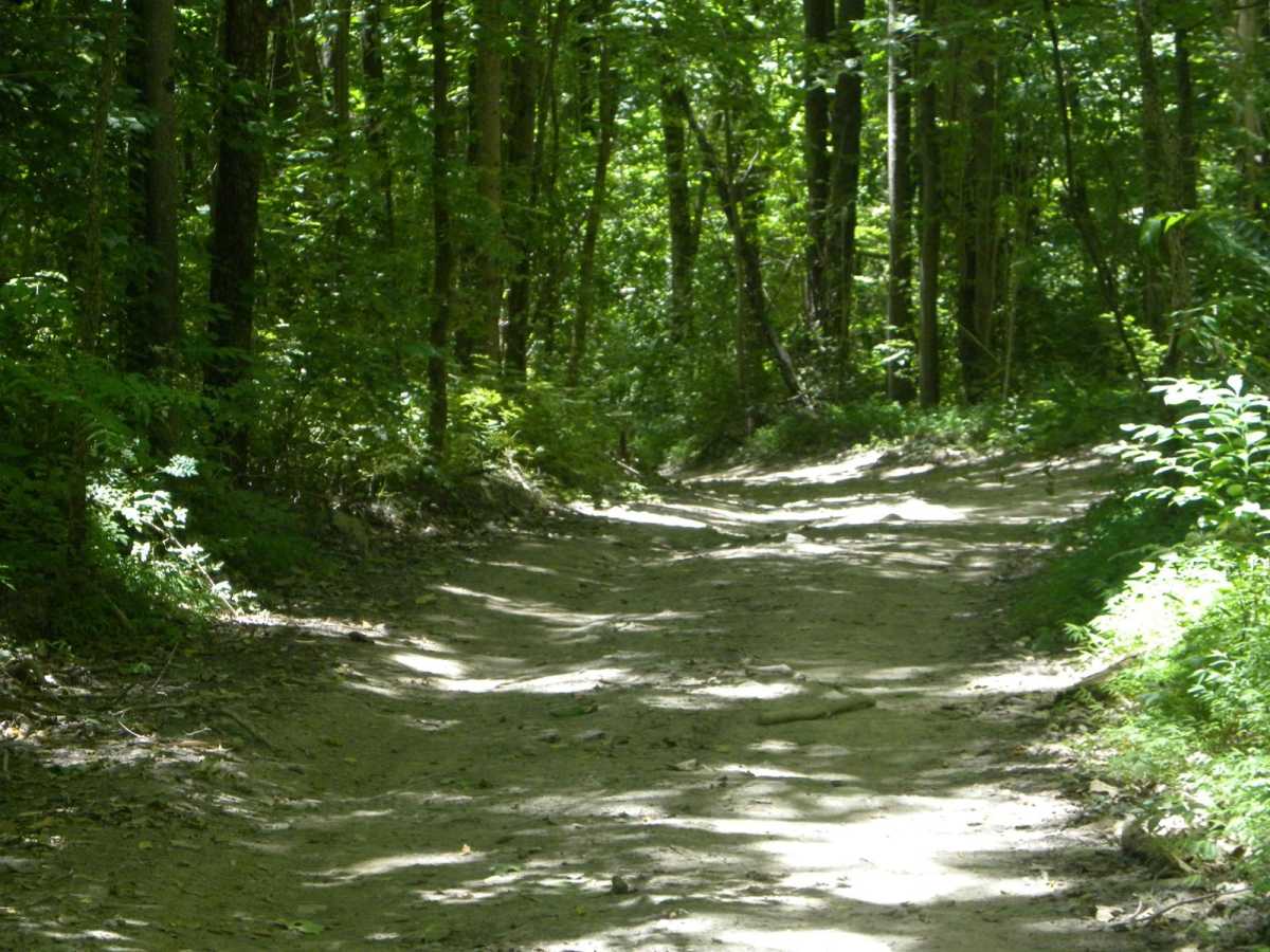 Trail 2E(intermediate) photo 6