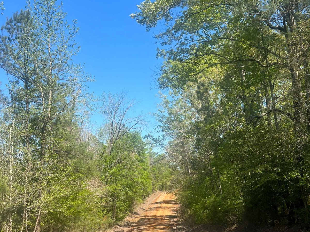 Sugar Creek Road trail photo