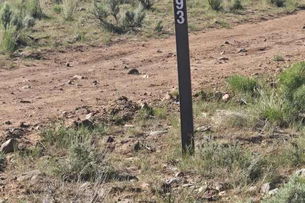 Gussie Draw Trail
