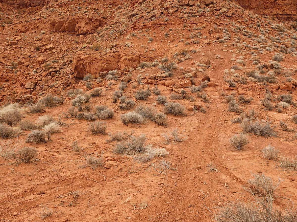East Rim Squirrel Run - Single Track trail photo