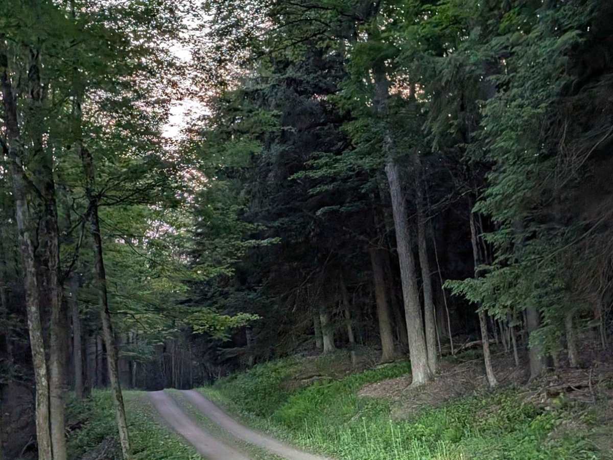 Walker Road photo 4