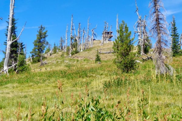 Nemote Creek to Stark Lookout