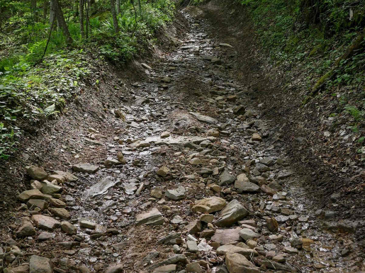 PC 82 trail photo