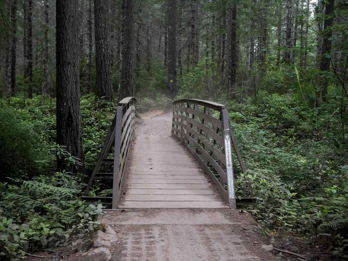 Mission Creek photo 6