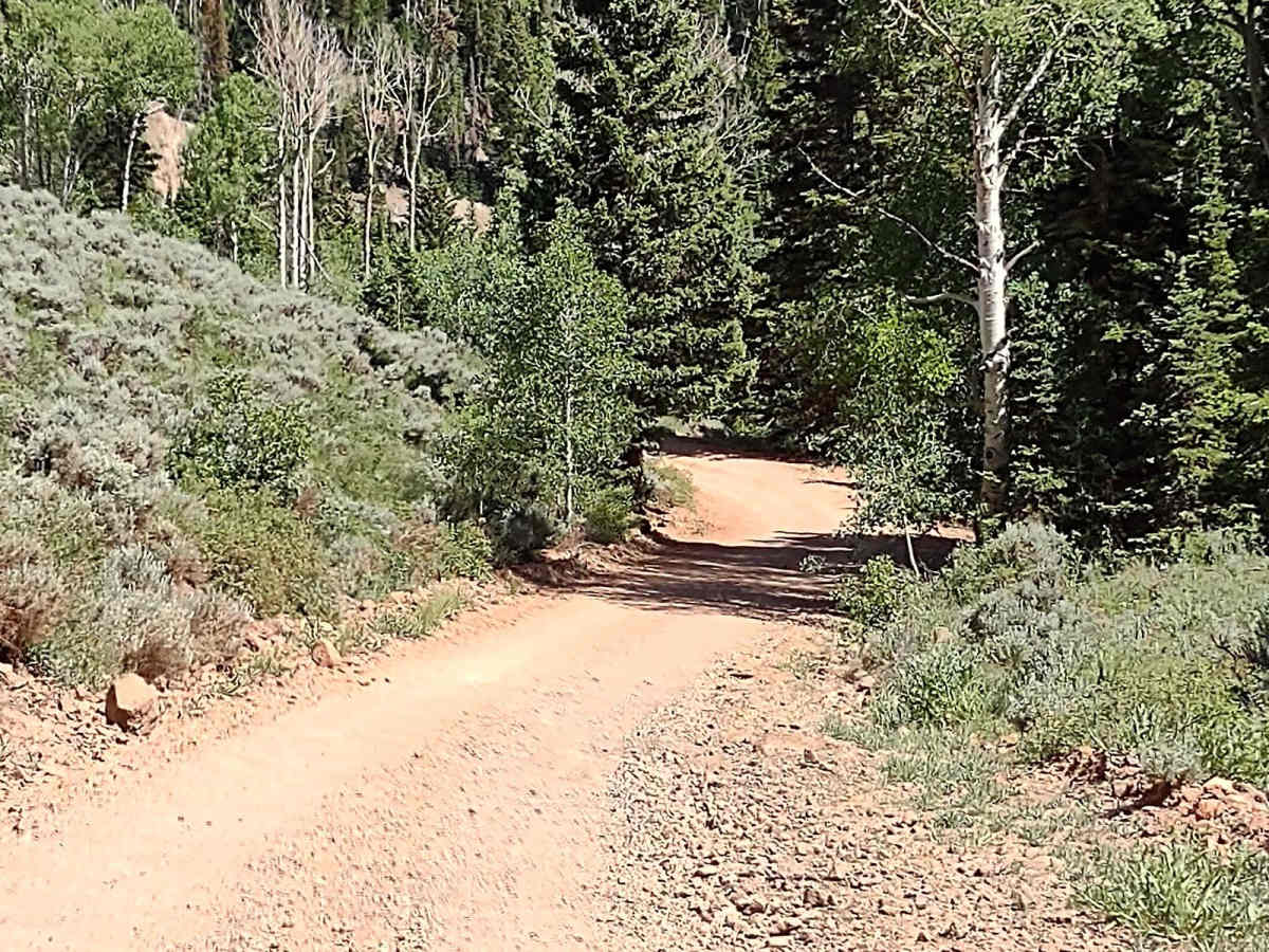 Dry Creek Road - FS 40183) photo 6