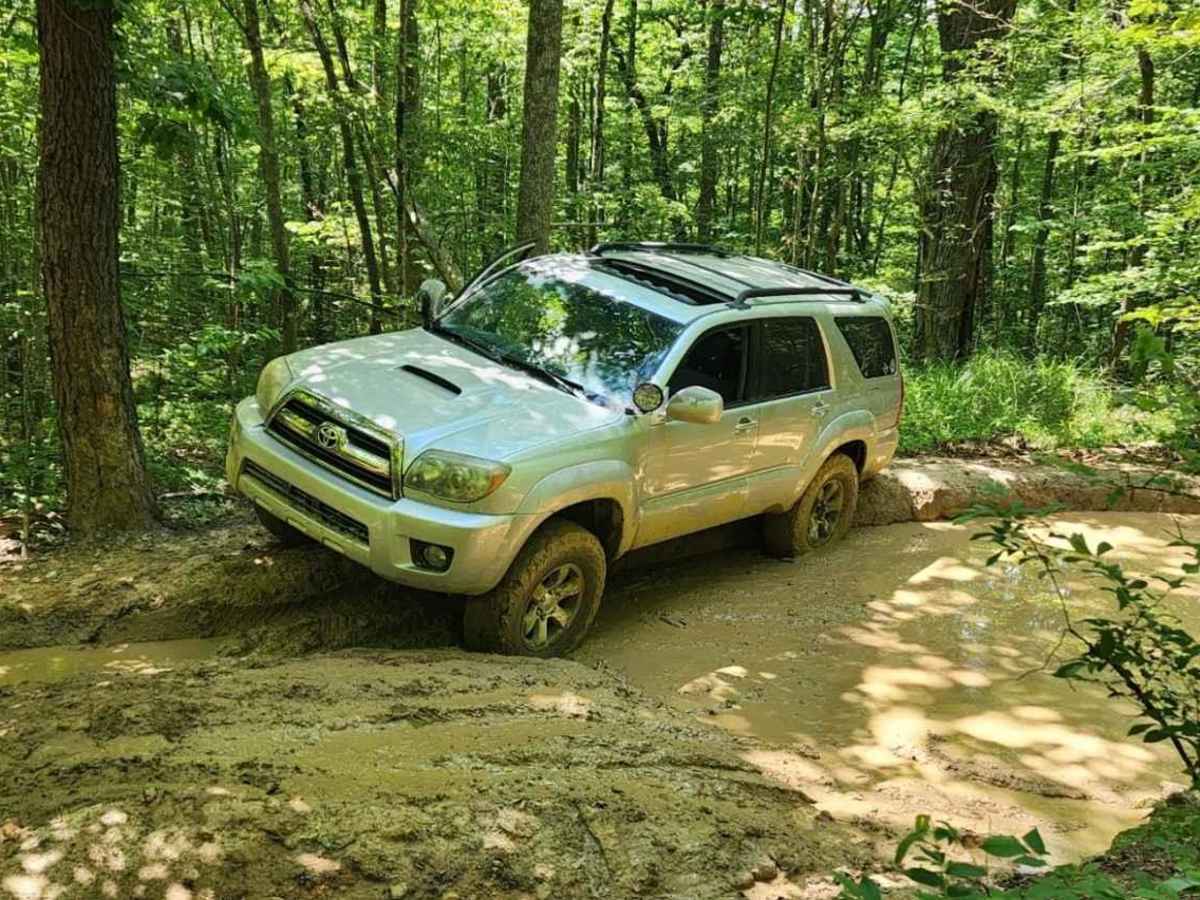 Mountain Springs Road photo 3