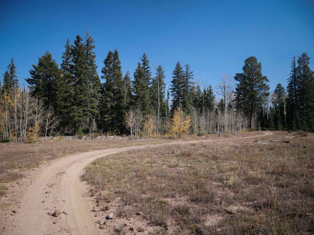 East Fork Dry Creek ATV Trail photo 6