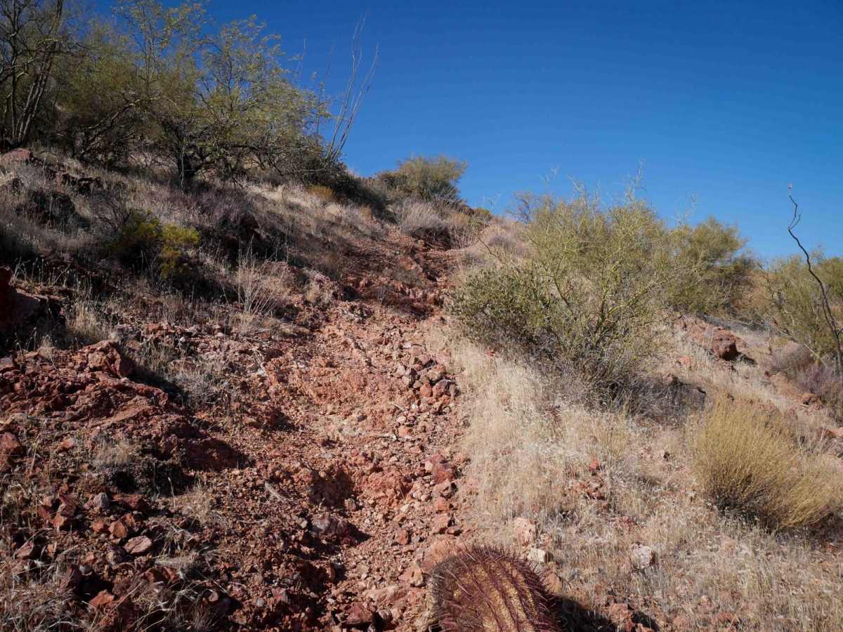 Picacho Singletrack photo 3