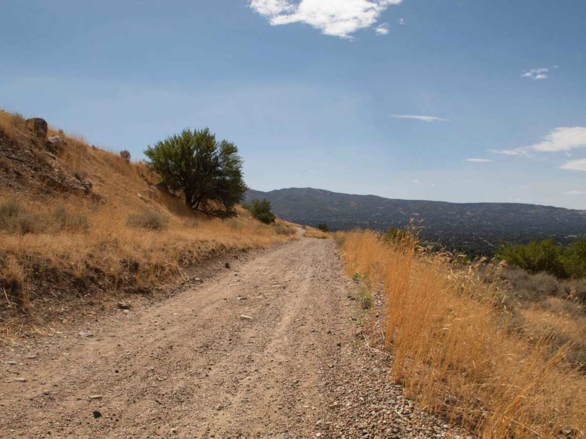 Centerville Firebreak Road photo 2