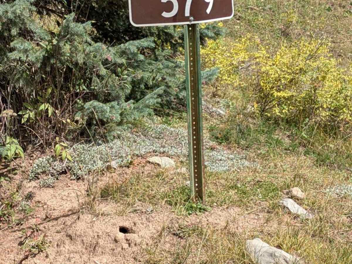 Cascade Divide Road photo 4
