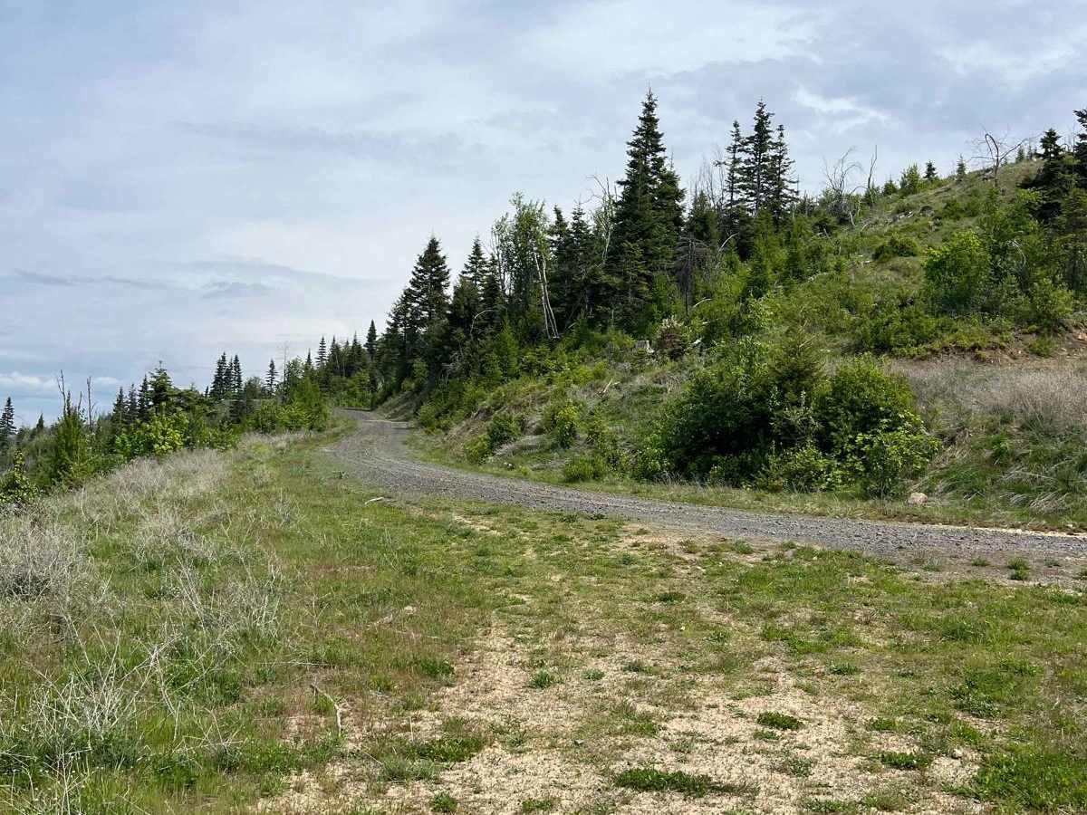 National Forrest Development Road 3308 photo 5