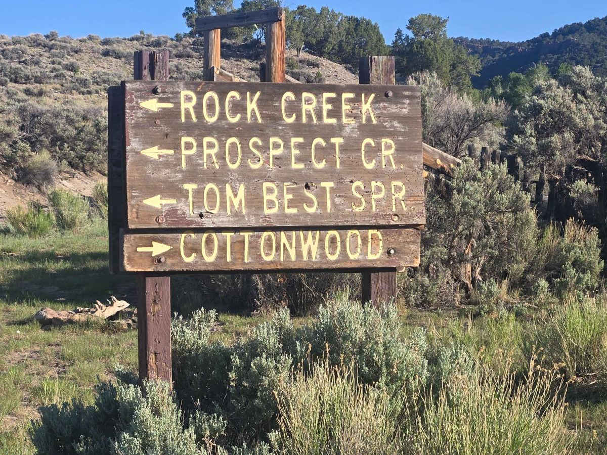 Prospector Trail trail photo