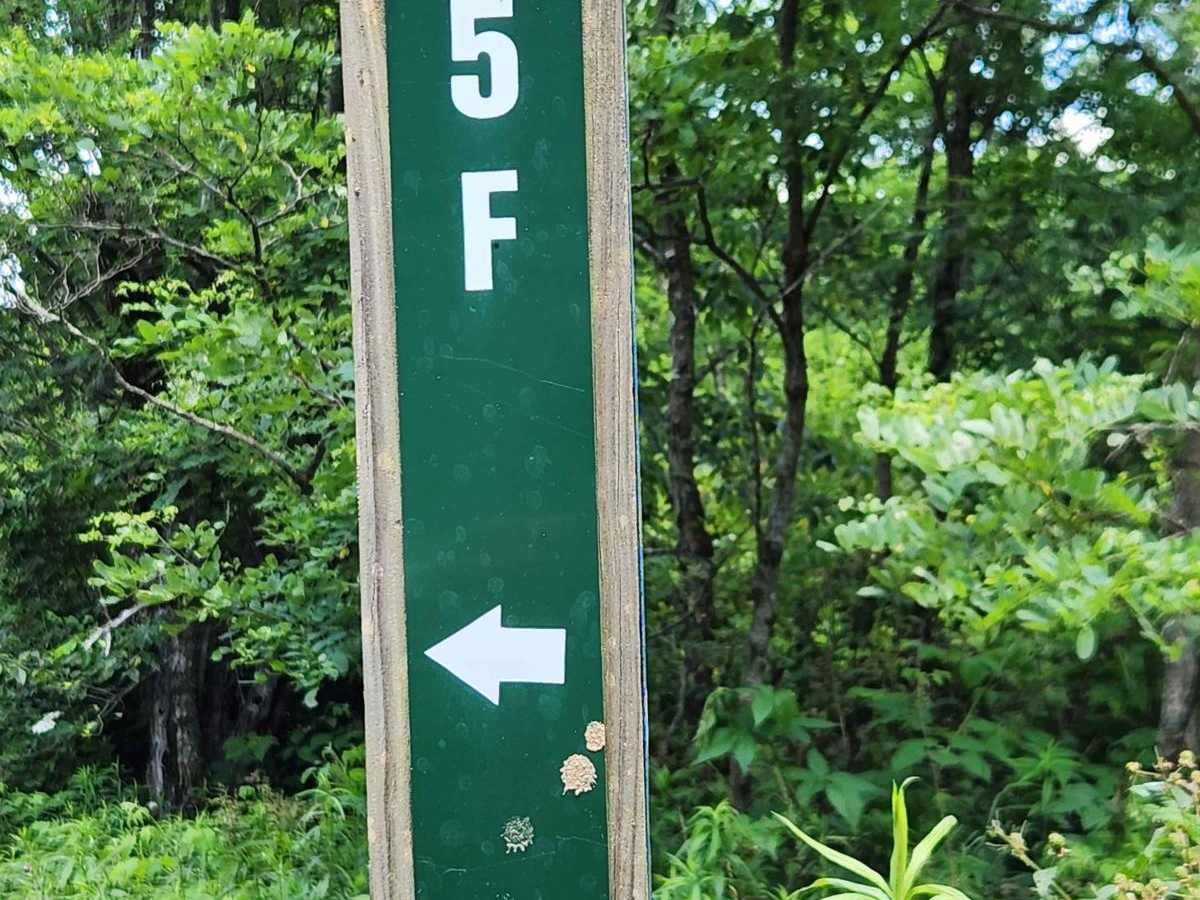Trail 5F - Rock Run Recreation Area trail photo
