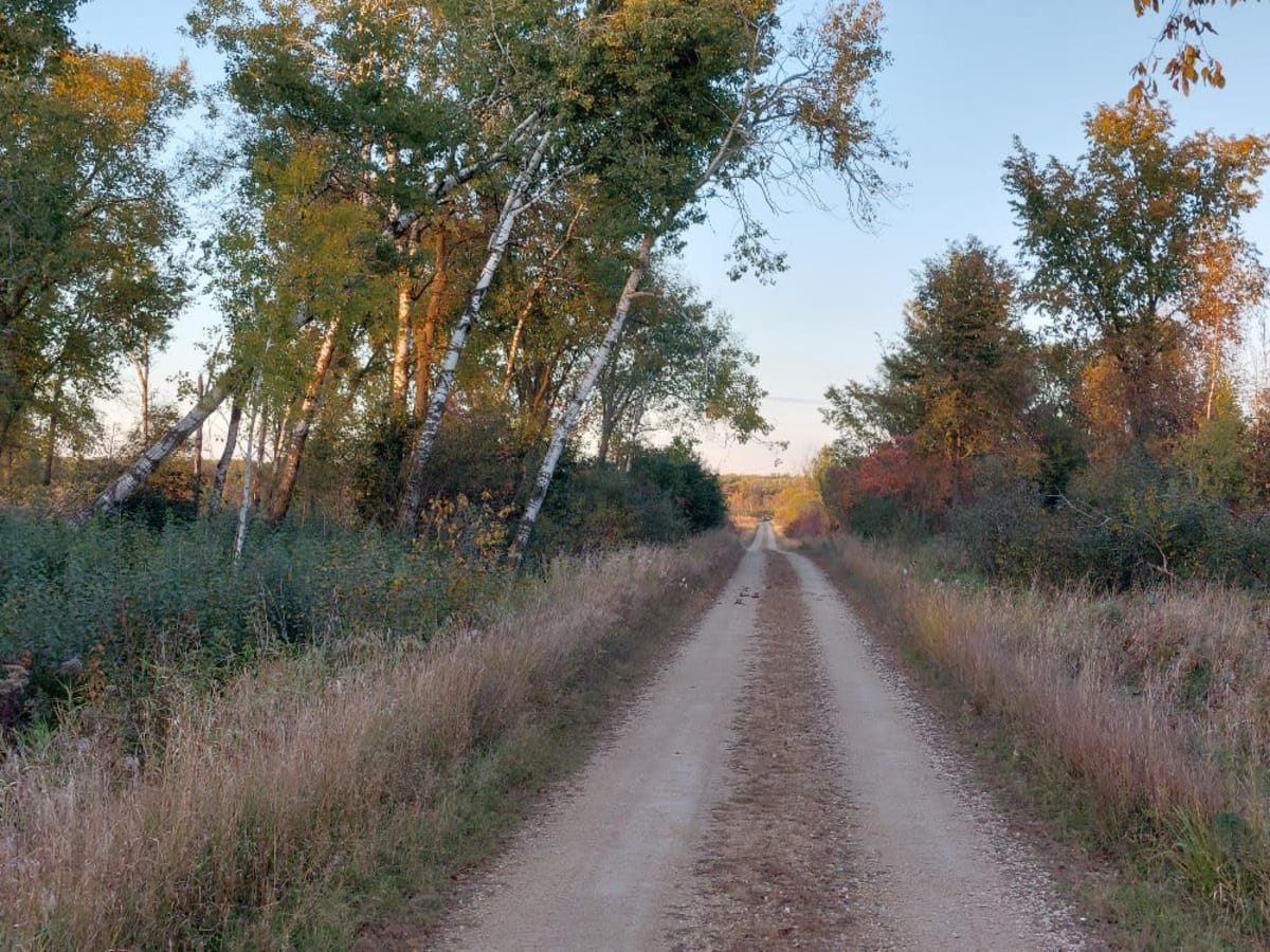 Dead End Road photo 4