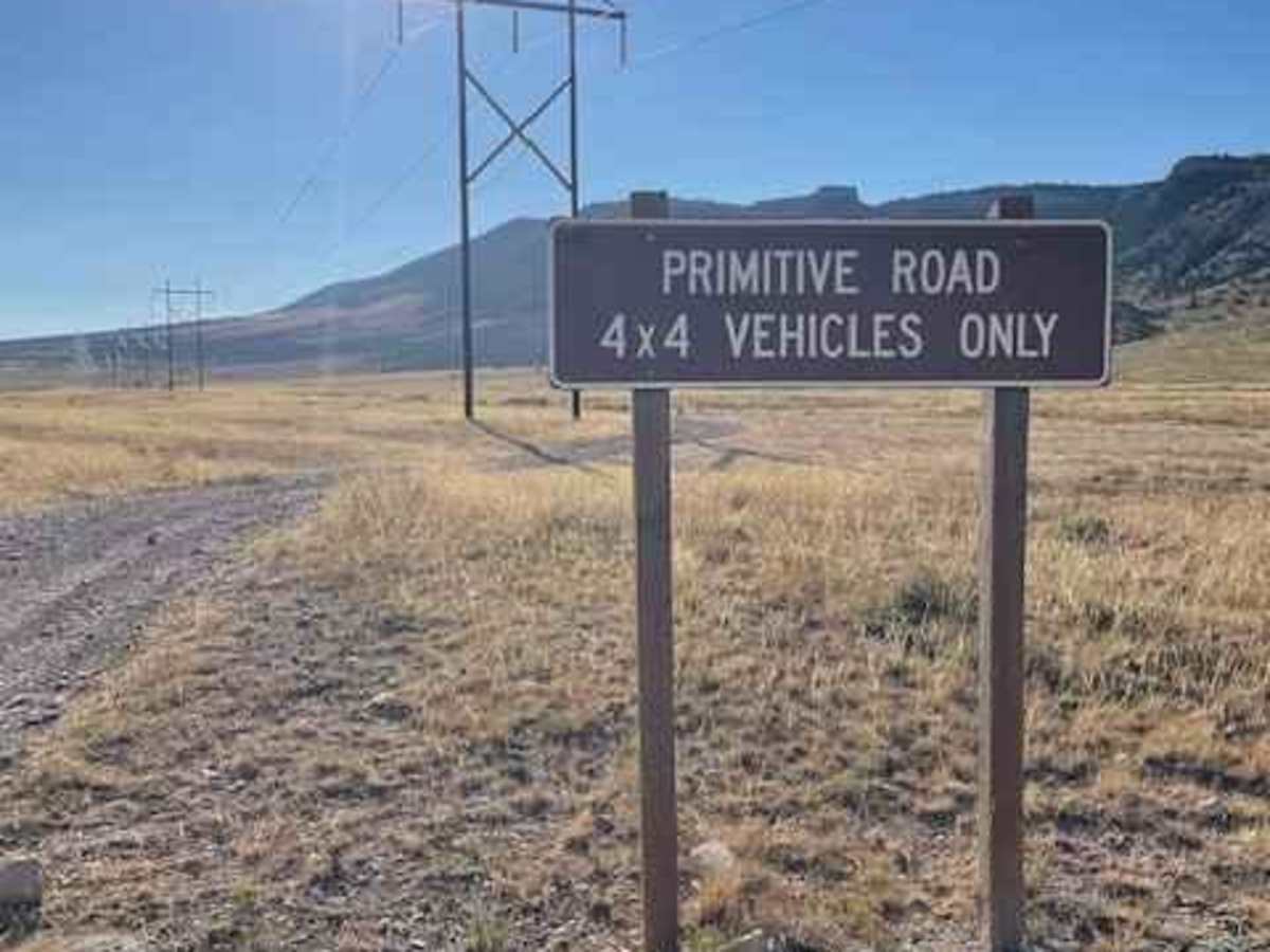 Powerline Road photo 5