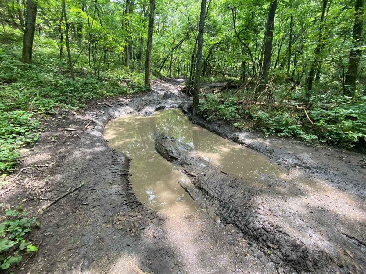 Rattlesnake Alley photo 5