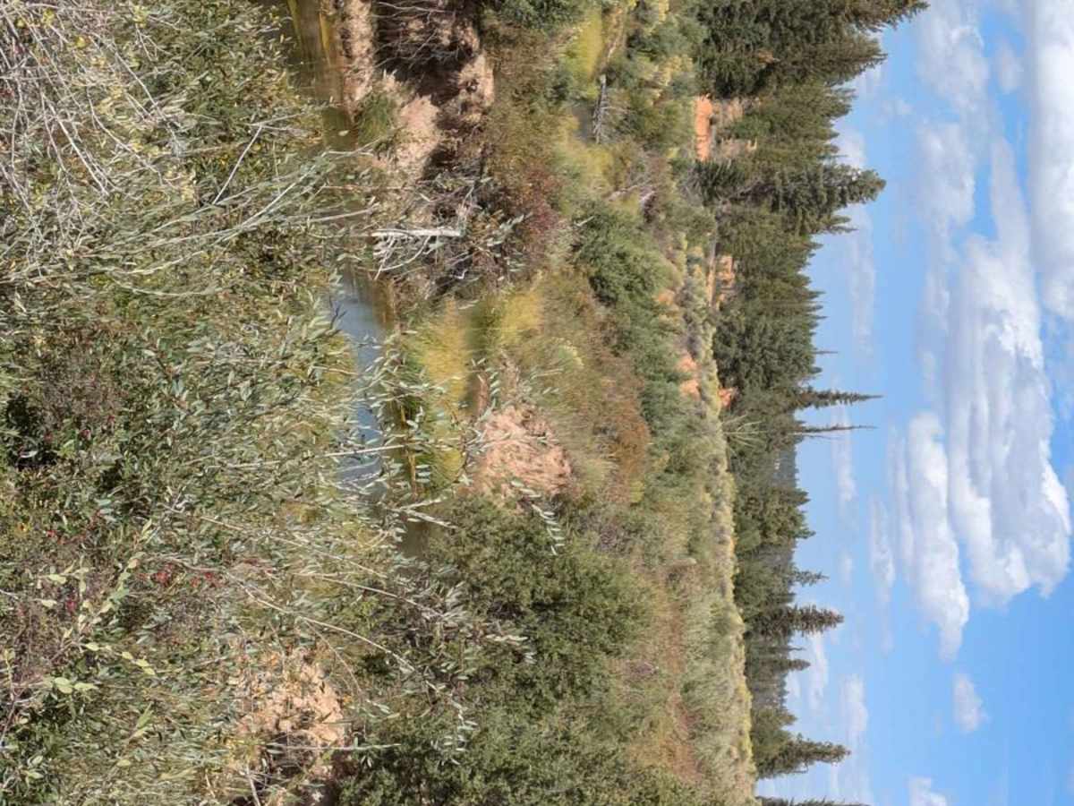 Tropic Reservoir West Side photo 6