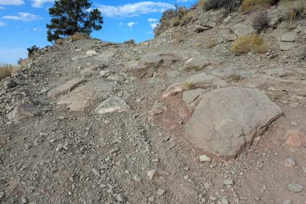Flying Monkey Trail Access