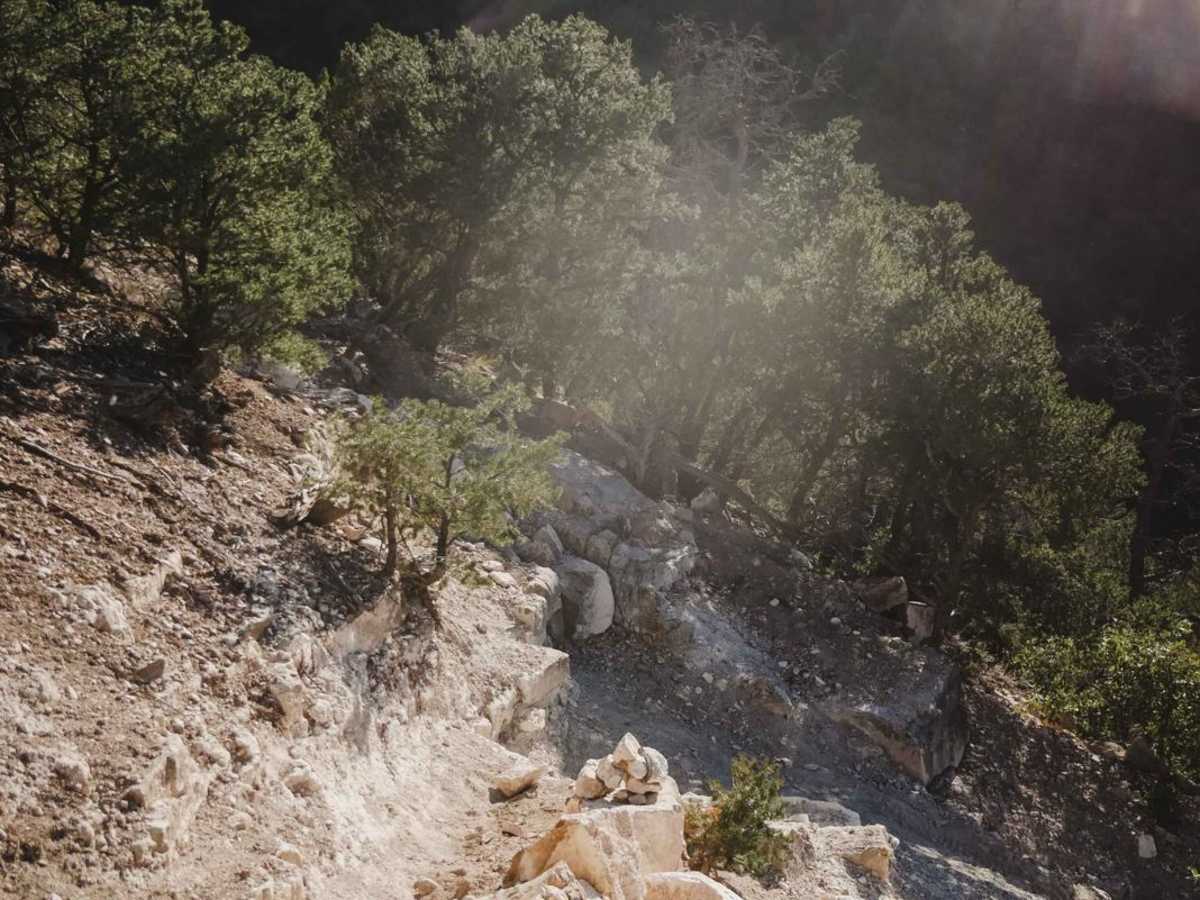 Powerline photo 5
