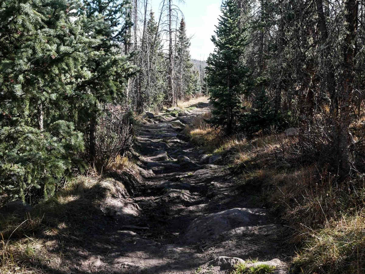 Bear Creek ATV 709 photo 6
