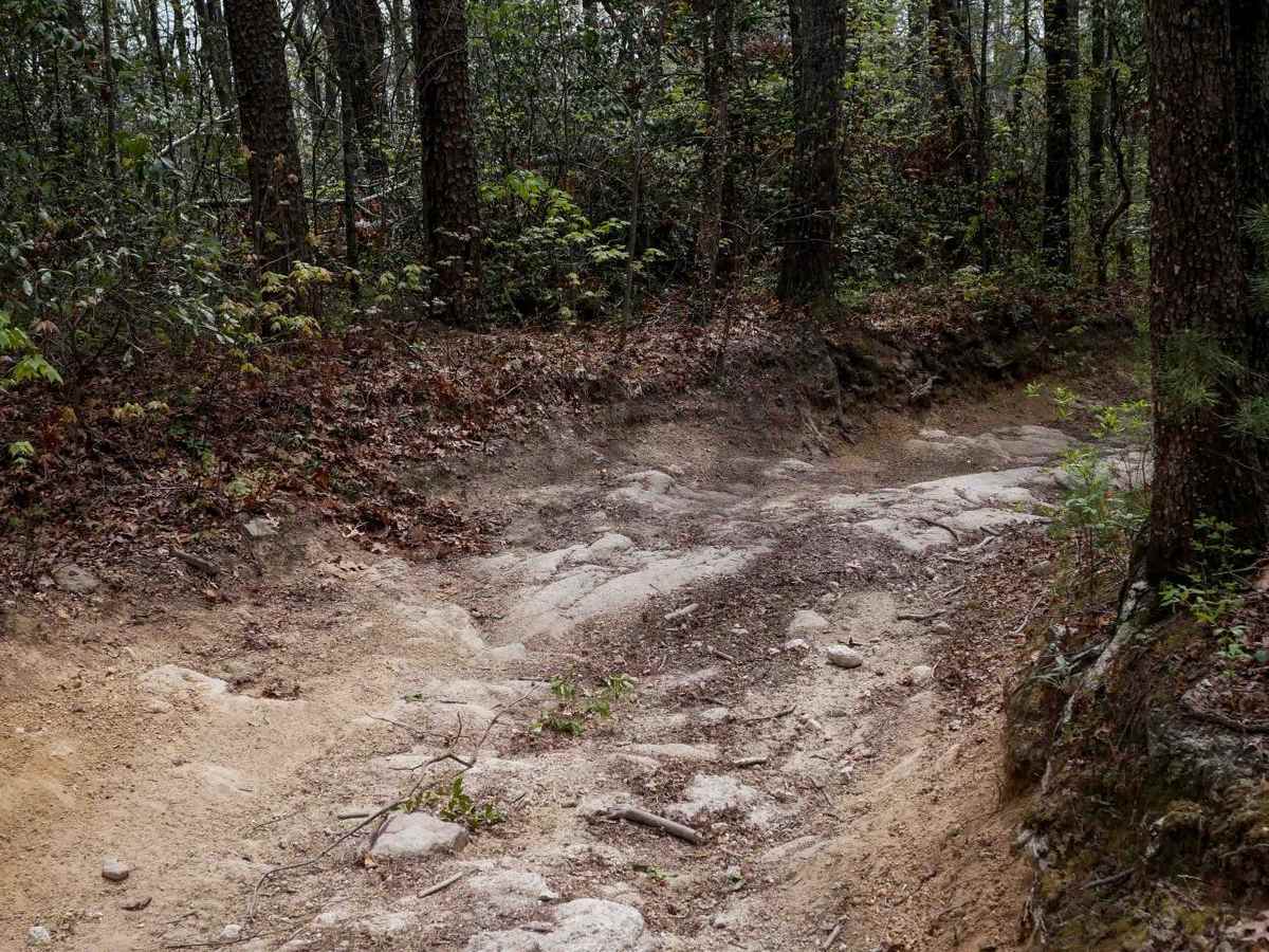 Trail 1B trail photo