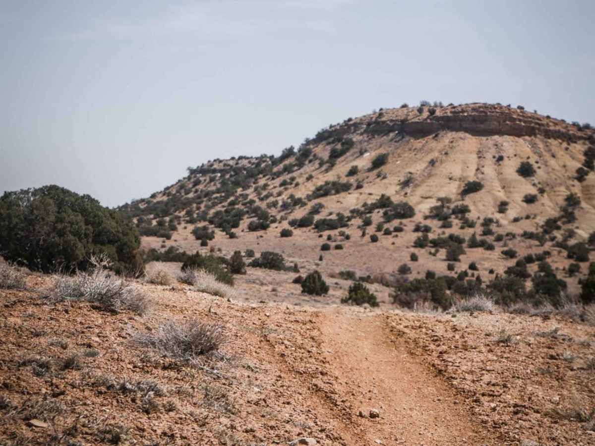 Green Trail photo 5