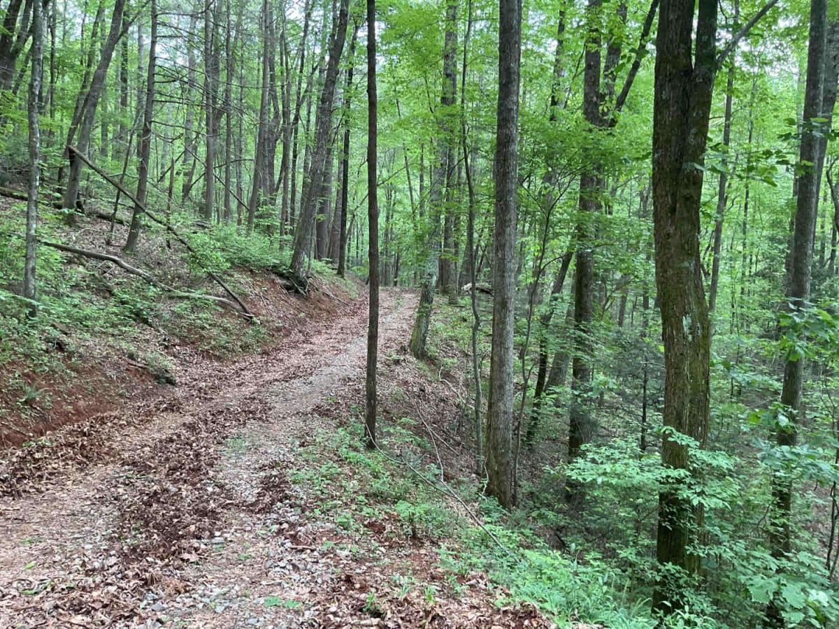 Blue Mountain Spring - FS 639 photo 5