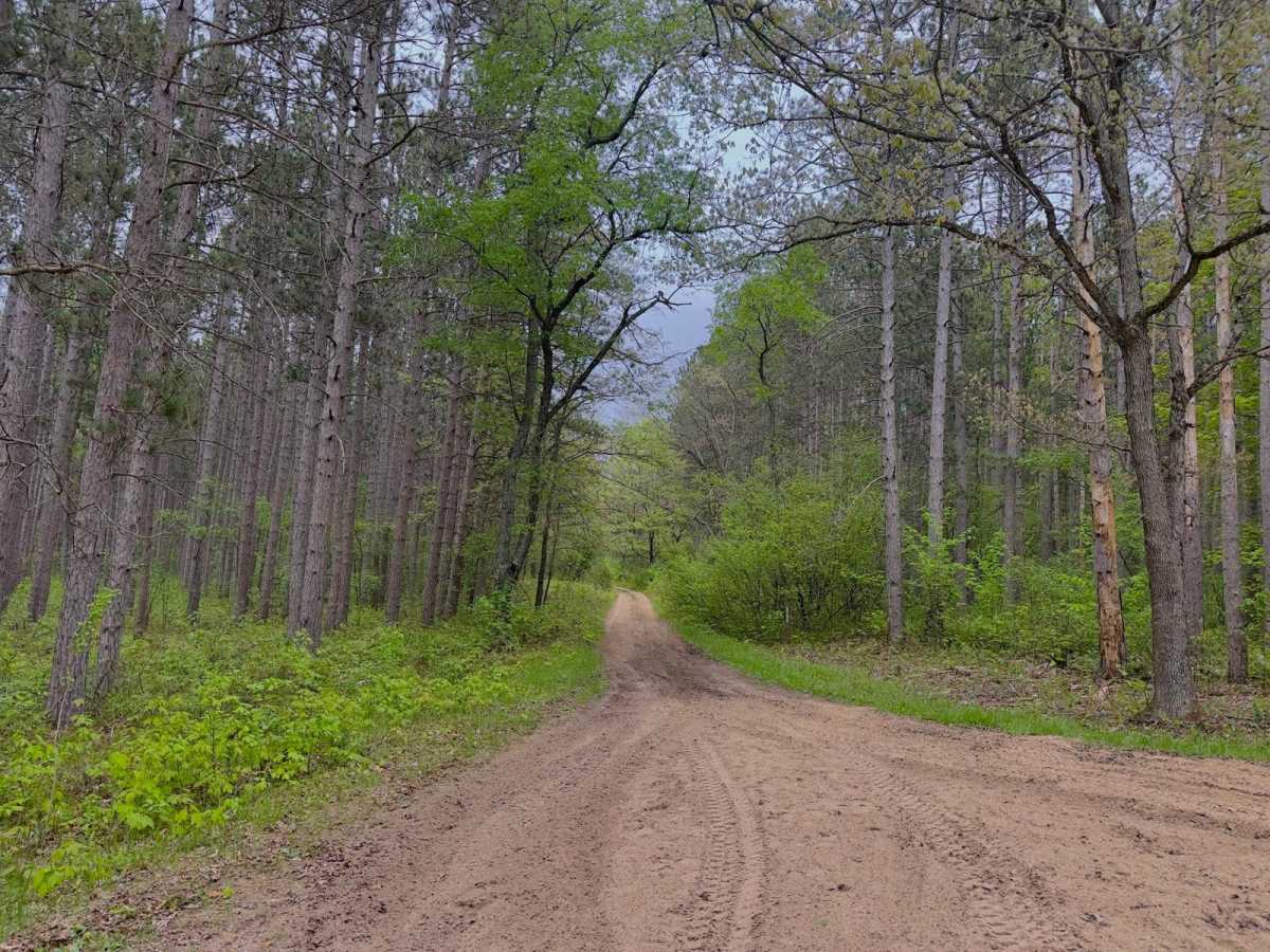 FS 6588 trail photo