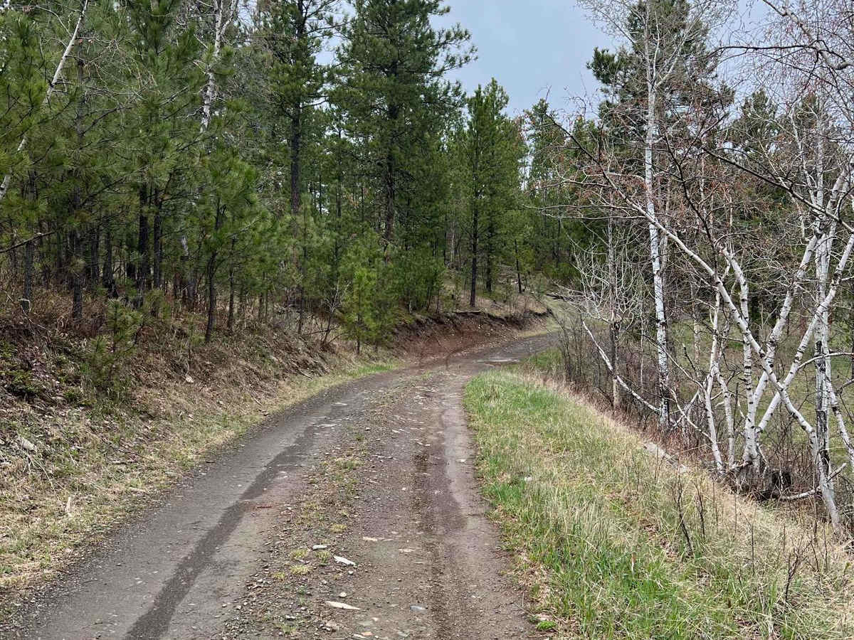 East Gimlet Trail photo 2